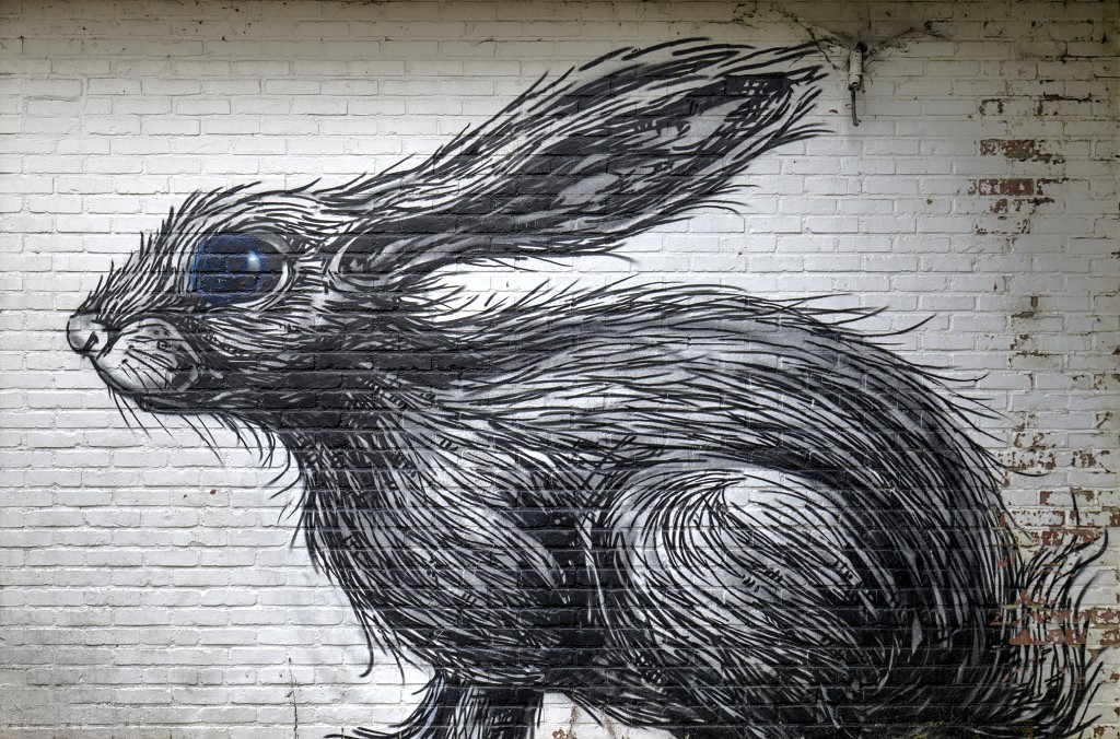 graffiti doel belgie roa hdr urbex art kunst kunstwerk mural murals